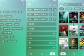 OK影视 v3.0.9/2.9.8 安卓内置源版