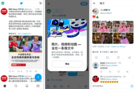 Twitter X v11.3.5 iOS绿化版