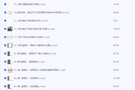 淘系直搜实战操作，直通车与手淘搜索完美结合（高级运营课程+直搜精华实战）