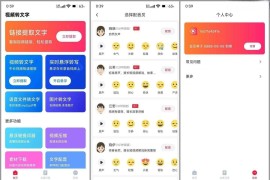 视频转文字 v1.3.2 安卓绿化版