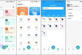 资源大师/资源大师Plus v1.7.6/v1.4.3 安卓绿化版