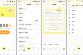 Pick记账 v2.1.3 安卓绿化版