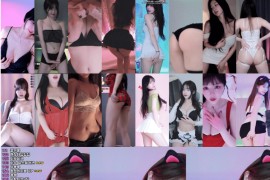 2025年04月08-09日 BJ世景，乐啊，叶林，哈尼尼，哈鲁酱，在熙，塔米米，奇希，孝... 