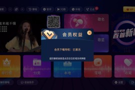 智享K歌 v2.16.58.2411111420 TV绿化版