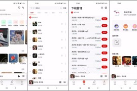 聆听音乐 v1.6.3 安卓绿化版