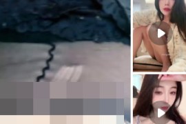 抖音  DontWorry 高 颜美乳御姐 B特写 啪啪做爱 内射 口交 接吻 3V