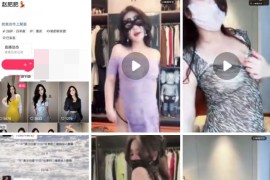 快手 赵肥肥  百万粉 极品蜜桃臀主播 大尺度会议骚舞