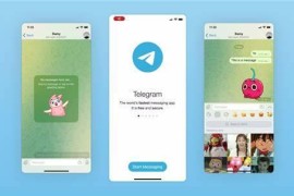 Telegram/web v12.2.10 安卓绿化谷歌+官网版