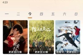闪映剧场 可看4k v2.1.0(1000) 安卓绿化版