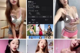 快手 敏媚儿   性感嫩妹  付费群定制骚舞大尺度 情趣露内