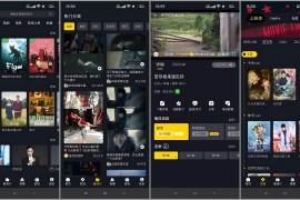 可可影视 v3.3.7 安卓绿化版