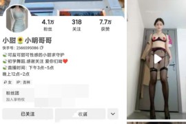 快手  小明哥哥   付费定制