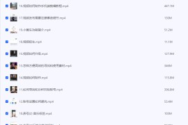 道甜跨境·TIKTOK海外短视频达人训练营，做海外抖音TIKTOK你必须知道的几件事
