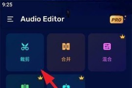 Audio Editor v2.01.27 安卓绿化版