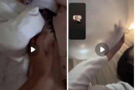 抖音 小野猫 付费大尺度 啪啪  会议福利