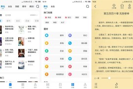 淘小说 v10.6.3 安卓绿化版