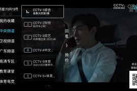 秒看TV v8.3.3 TV版