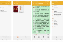 桔子阅读器 v3.9.4(19) 安卓绿化版