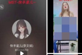 快手 星儿  大奶熟女  1V1 脸穴同框 道具自慰 1v