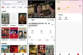 晴天4K v4.3.3 安卓绿化版