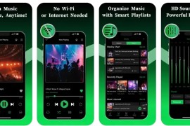 Offline Music Player v3.6.2 iOS绿化版
