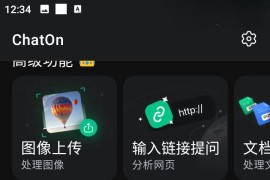 ChatOn AI v1.69.630 安卓绿化版