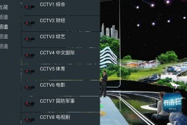 我的电视·〇  v1.3.9.7 TV版