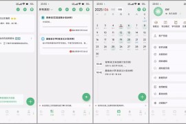 有个计划 v11.6 安卓绿化版