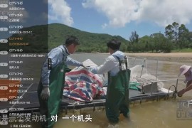 枫彩TV v1.0.2 TV版