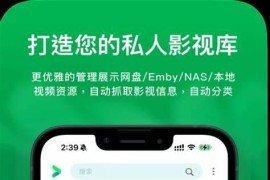 VidHub v2.0.1 iOS绿化版
