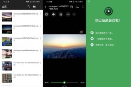 XPlayer v2.4.9.1 安卓绿化版