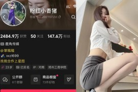 粉红小香猪 – 最新岛遇合集下载[2025年资源更新中]