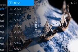 飞扬直播 v11.14 TV版