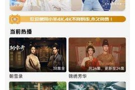 小羊4K v4.0.0(400) 安卓绿化版