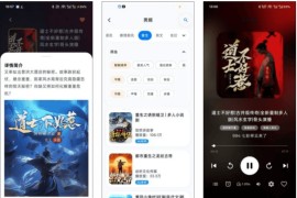 摸鱼听书 v1.17 安卓绿化版