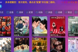 Player v6.1.4 TV多仓版