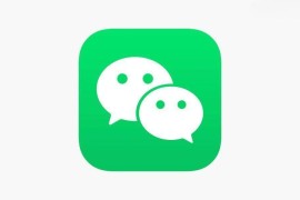 微信 v8.0.61 iOS绿化+多开版+插件