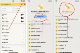 EMMO小账本 v2.1.3 iOS绿化版