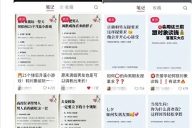 黄岛主·小红书绿茶计划情感虚拟资料变现项目，花我598买来拆解出来给你