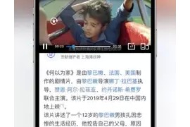 亚瑟浏览器/多功能浏览器 v21.3 iOS+插件