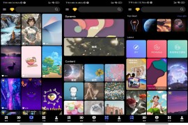动态壁纸4K Wallpapers  v5.0 安卓绿化版