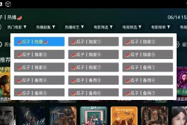 瓜子影视TV v2.4.4 TV版