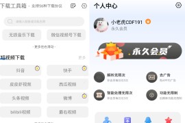 下载工具箱 v3.9.6 安卓绿化版
