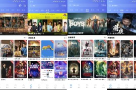 枕星视频 v5.2.0 安卓绿化版